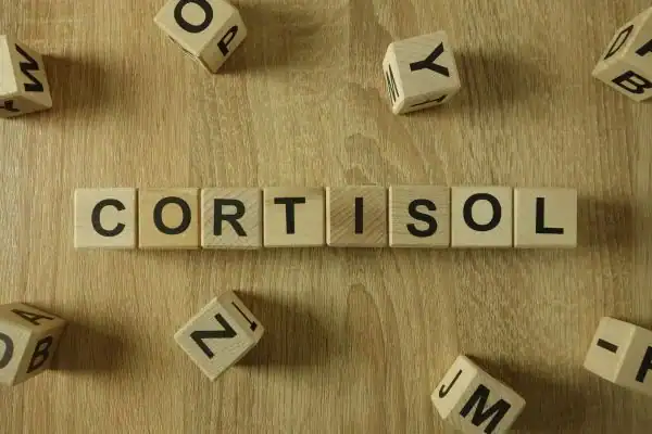 The Hidden Connection: How Stress Shapes Your Fitness and Body Composition 2 Image saying "Cortisol" and how stress Haverhill impacts your wellbeing and bodies shape